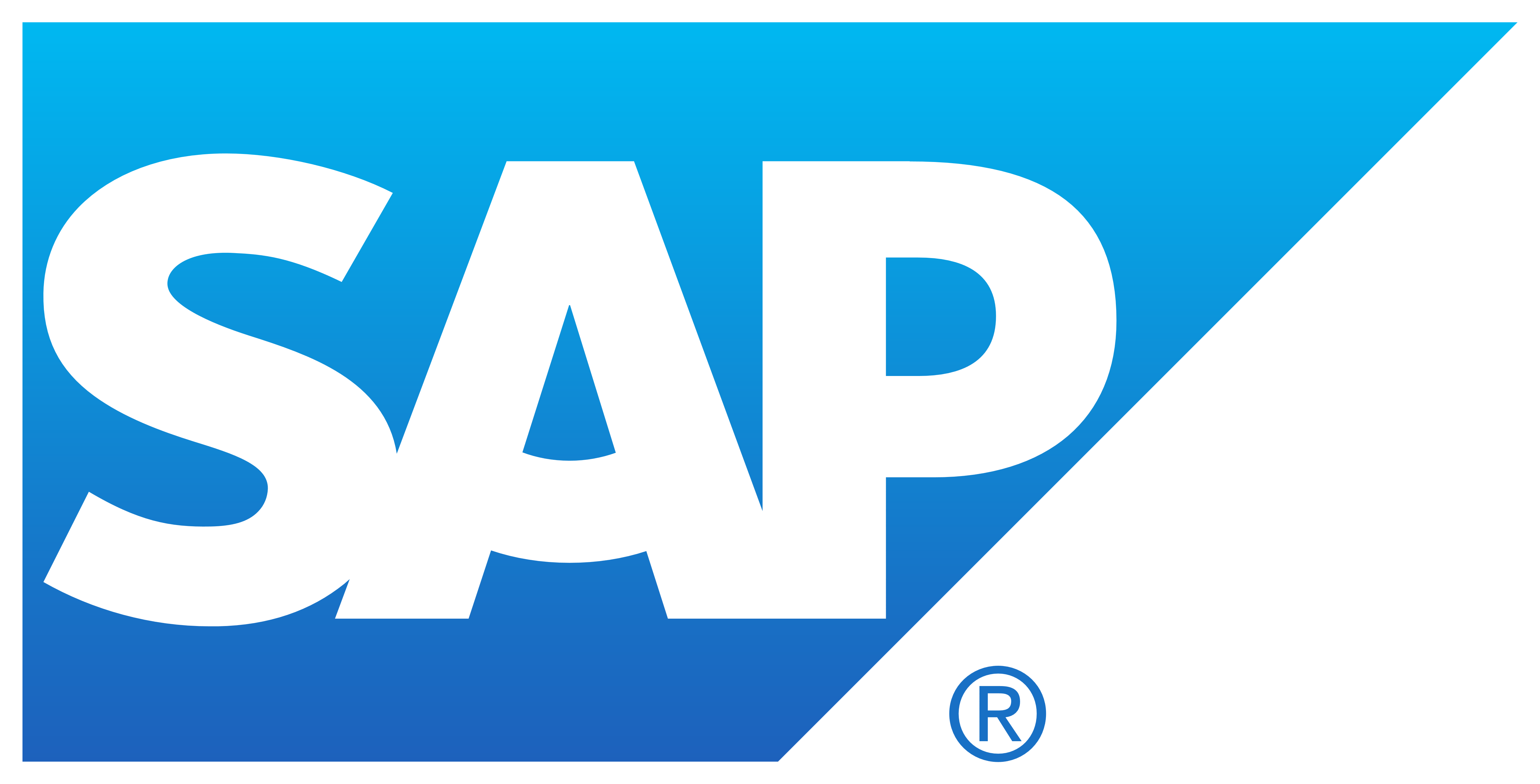 sap Icon