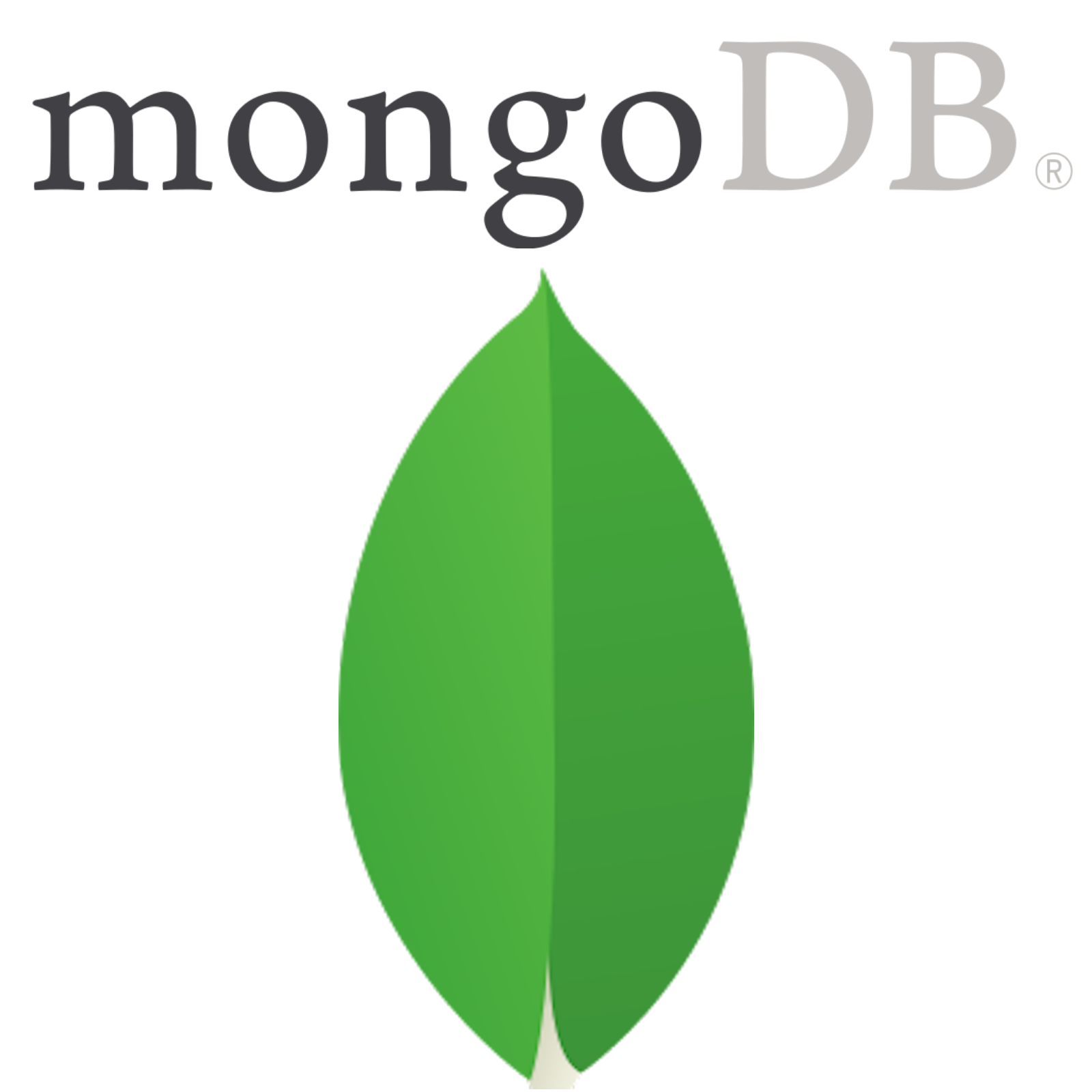 mongo Icon